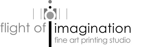 Flight of Imagination - Fine Art Printing Studio